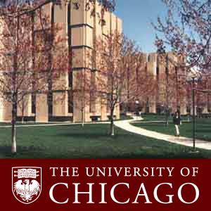 Library Design (audio)